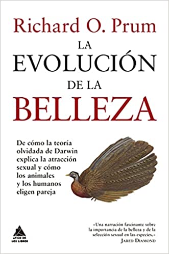 La Evolución de la Belleza - Brigzen - machoalfa.blog